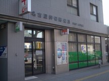 Nagoya Oshikiri (21068)