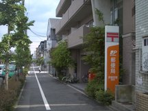 Ashiya Miyazuka (43679)