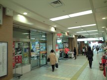Sendai Ekinai (81025)