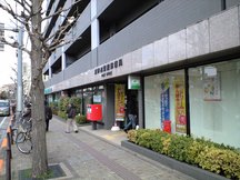 Fuchinobeekimae (09051)