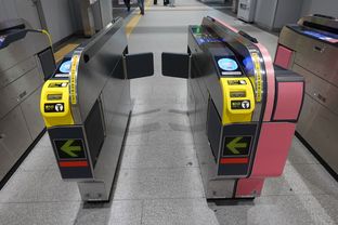 Kumamoto (2025/06/04)