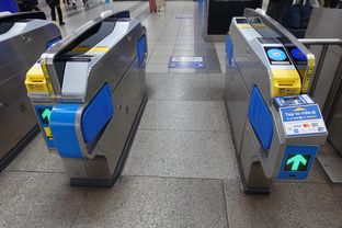 Yokohama (2025/12/06)