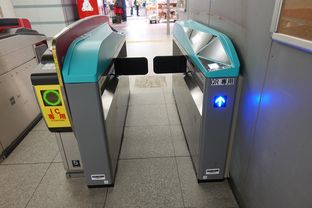 Tanigami (2025/04/12)