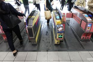 Sengawa (2025/06/11)