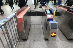 Yokohama (2025/12/06)