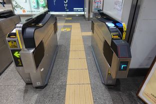 Yokohama (2025/10/15)