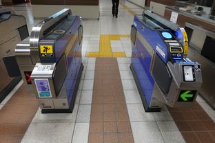 Sawaragi (2025/11/26)