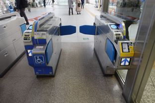 Odawara (2025/12/06)