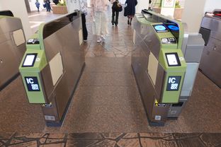 Resort Gateway Station (2025/11/26)