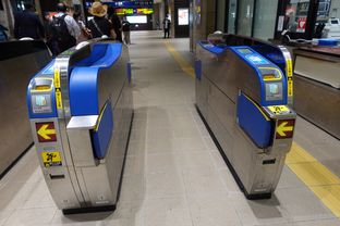 Kumamoto (2025/06/04)