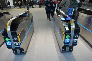 Yumeshima (2025/01/19)