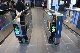 Yumeshima (2025/01/19)