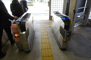 Minatocho (2025/02/19)