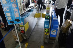 Maibara (2025/09/24)